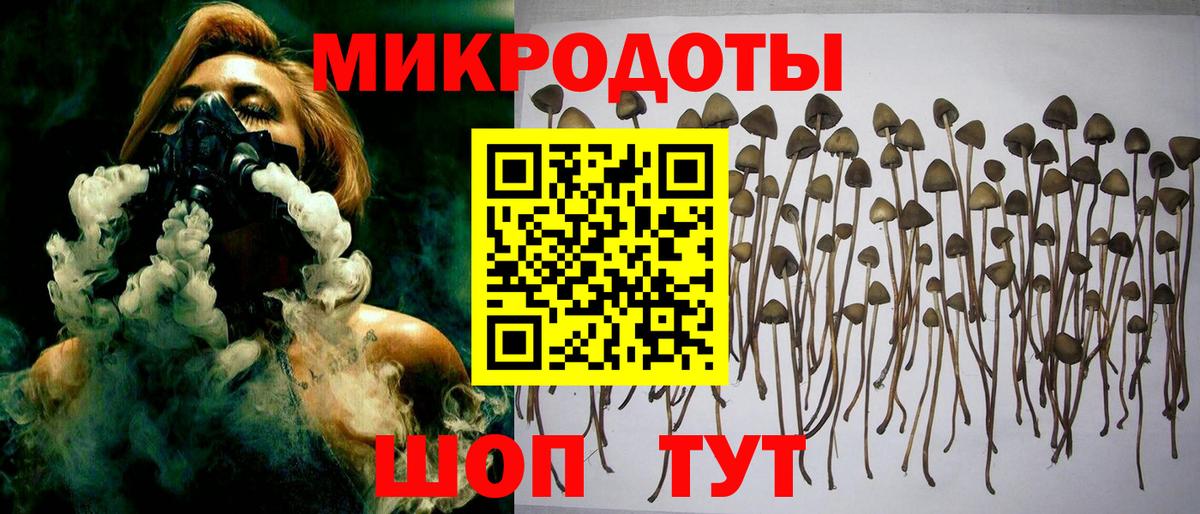 Галлюциногенные грибы MAGIC MUSHROOMS Вятские Поляны