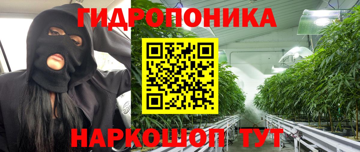 Бошки Шишки марихуана  Шишки марихуана семена  Вход с VPN  Бошки марихуана LSD WEED  Каннабис планчик  Вятские Поляны 